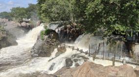 water-level-in-the-cauvery-river-in-hogenakkal-has-risen-to-23-000-cubic-feet