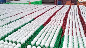 egg-prices-hit-record-high