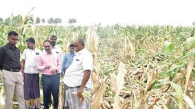 50314-hectares-of-arable-land-affected-in-kallakurichi