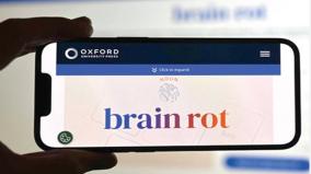 about-brain-bot-word-was-explained