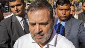 rahul-meets-speaker-with-request-to-expunge-remarks-against-him-ensure-house-functions