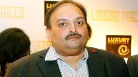 businessman-mehul-choksi-property-auctioned