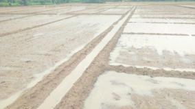 sandbags-are-stacked-on-the-shores-in-thenpennai-river