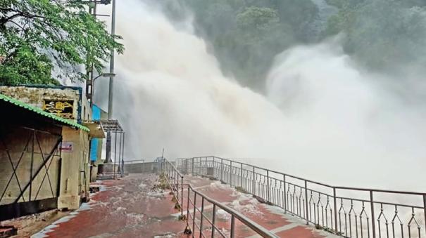 Tenkasi district affected by heavy rain