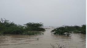 flood-affected-people-protest-near-sayalgudi-in-ramanathapuram