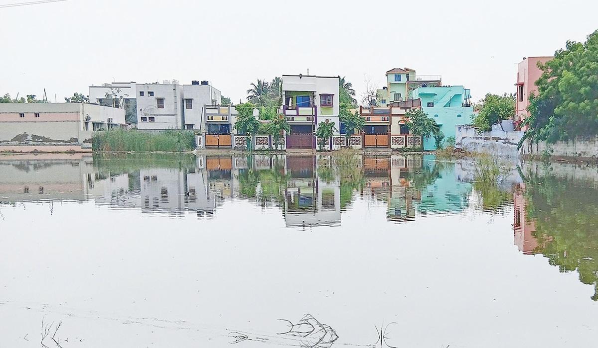 தூத்துக்குடியில் ஒரே நாளில் 2,271 மி.மீ மழை - தாமிரபரணி, காட்டாறுகளில் வெள்ளப் பெருக்கு