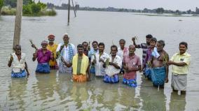 thousands-of-acres-of-paddy-crops-were-submerged-in-various-districts