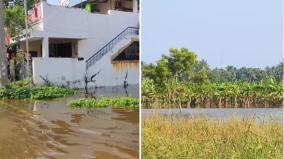 madurai-people-are-suffering-as-residential-areas-are-flooded