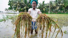 tn-government-revealed-crop-damage-of-heavy-rain-and-fengal-cyclone