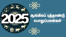 2025-new-year-horoscope-in-general