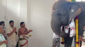 gaja-pooja-to-the-elephant-dheivanai-at-tiruchendur-temple