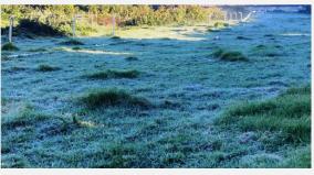 frost-begins-in-ooty-and-people-affected-with-season