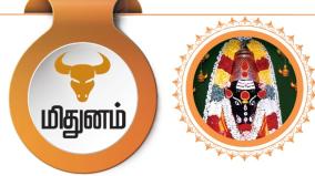 yearly-horoscope-predictions-2025-for-midhunam-rasi