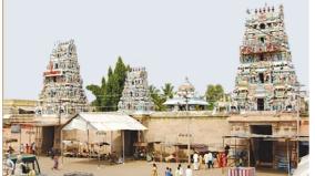 3-thousand-years-old-vanni-tree-in-kodumudi-shiva-temple