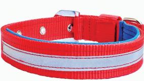 collar-band-for-street-dogs-in-thanjavur