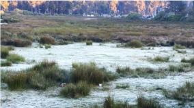 people-are-facing-difficulties-due-to-frost-in-kodaikanal