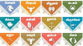 monthly-horoscope-for-mesham-to-meenam-jan-2025