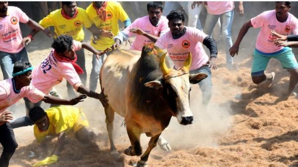 Online booking for Jallikattu participants begins this evening