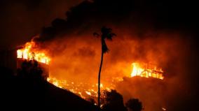 5-dead-in-los-angeles-wildfires-new-blaze-in-hollywood-hills-forces-evacuations