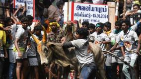 case-seeking-formation-of-an-all-community-committee-for-avaniyapuram-jallikattu