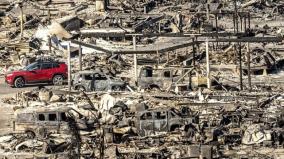 los-angeles-forest-fire-kills-24-people-and-many-more-animals