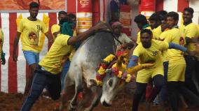 jallikattu-competitions-to-decrease-in-dindigul-district