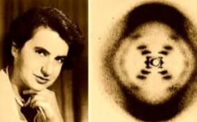 rosalind-franklin-life-story-explained