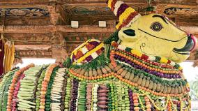 decoration-of-lord-nandhi-with-vegetables-and-sweets