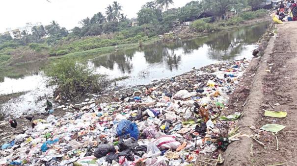 Sewage mixed with cooum river issue