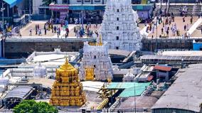 food-distribution-with-masala-vada-to-devotees-at-tirumala