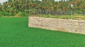 agricultural-lands-becoming-price-lands-in-uthamapalayam