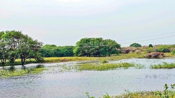 Bird Sanctuary Seen without birds in ramanathapuram