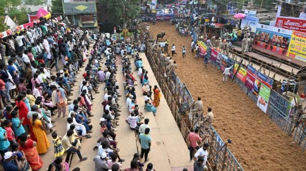 one lakh twenty thousand spectators in Alanganallur Jallikattu 