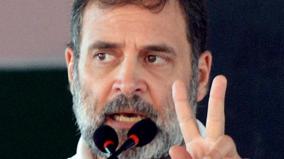 sheila-dikshit-model-needed-for-delhi-s-development-rahul-gandhi