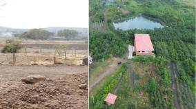 a-man-turned-barren-hill-into-a-forest-with-in-8-years