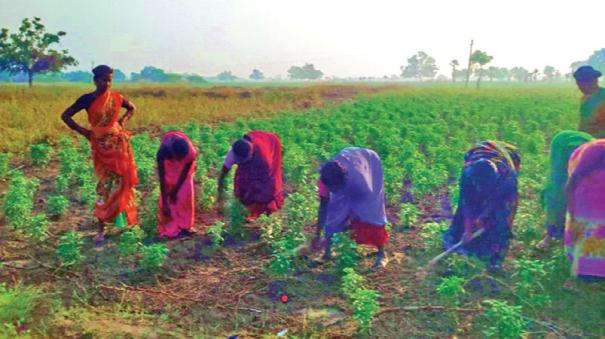 valnthu kattuvom farm training!