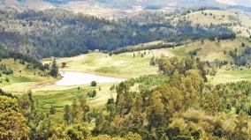 about-decreasing-herbaceous-grasslands-in-kodaikanal