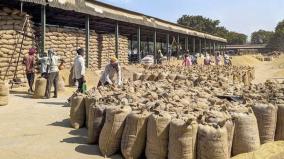 paddy-procurement-in-tamil-nadu-crosses-1-million-tonnes