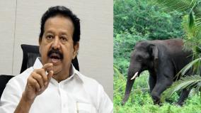 action-taken-to-protect-2961-elephants-in-tamil-nadu-minister-ponmudi