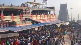 thiruthani-thaipoosam-festival-tn-andhra-devotees-throng-to-offer-prayers