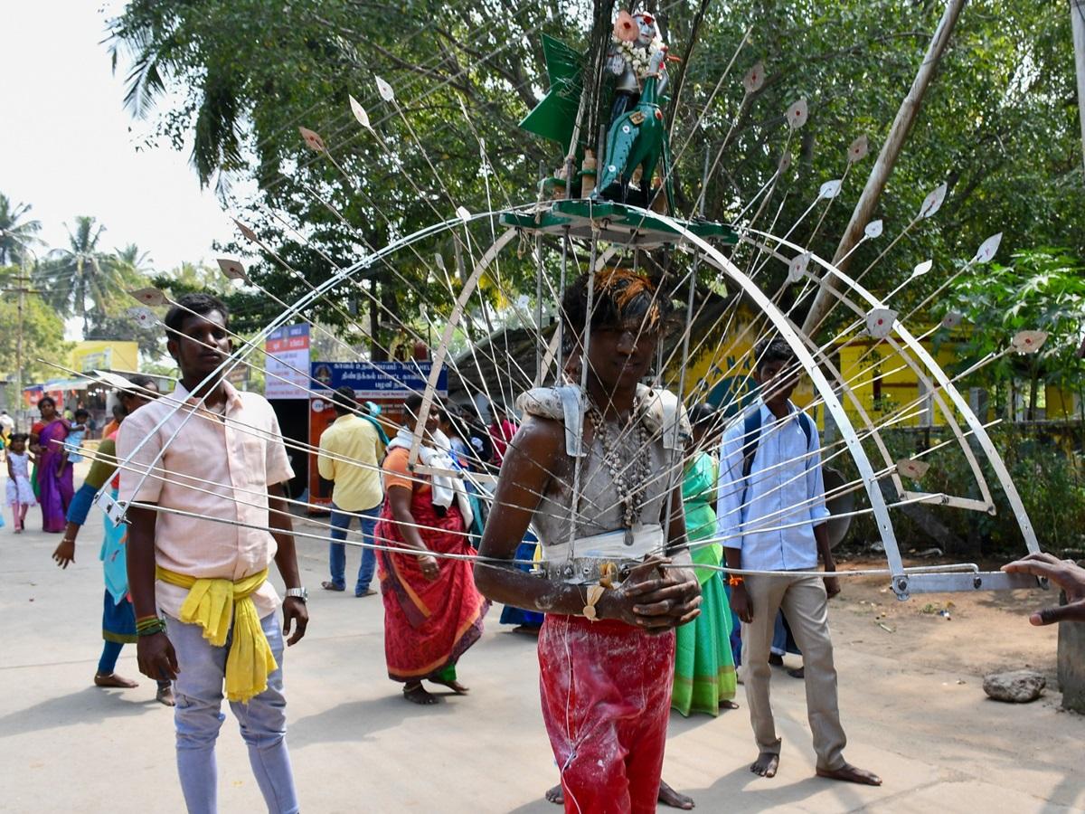 பழநி-தைப்பூசத்-திருவிழா:-காவடி-எடுத்தும்,-அலகு-குத்தியும்-பக்தர்கள்-நேர்த்திக்கடன்