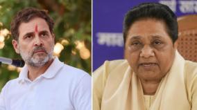 cong-fought-delhi-polls-as-bjp-s-b-team-mayawati-hits-rahul-gandhi