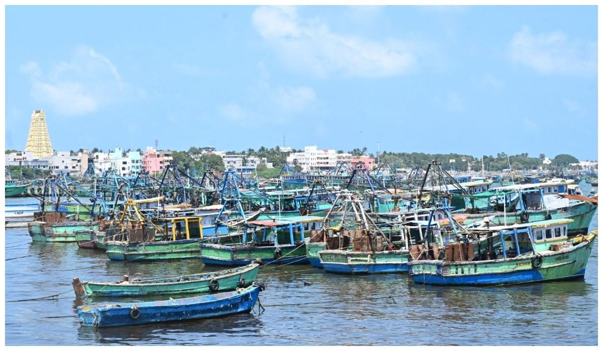 இலங்கை-கடற்படை-கைது-செய்த-மீனவர்களை-விடுவிக்கக்-கோரி-ராமேசுவரத்தில்-வேலை-நிறுத்தம்