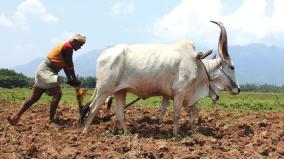 difficulties-in-agriculture-industry-was-explained