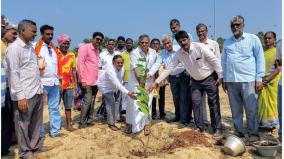 new-project-to-protect-sand-dunes-along-puducherry-coast