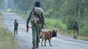 2-maoists-killed-in-encounter-in-chhattisgarh