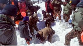 uttarakhand-avalanche-death-toll-rises-to-8