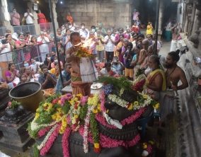 special-anointing-for-nandhi-statue-in-jalagandeswarar-temple