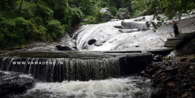 kovai-kutralam-waterfalls-opened-for-public-use