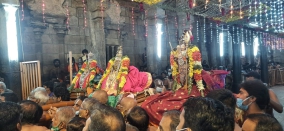 srirangam-arulmigu-aranganathaswamy-temple-vaikuntha-ekadasi-2